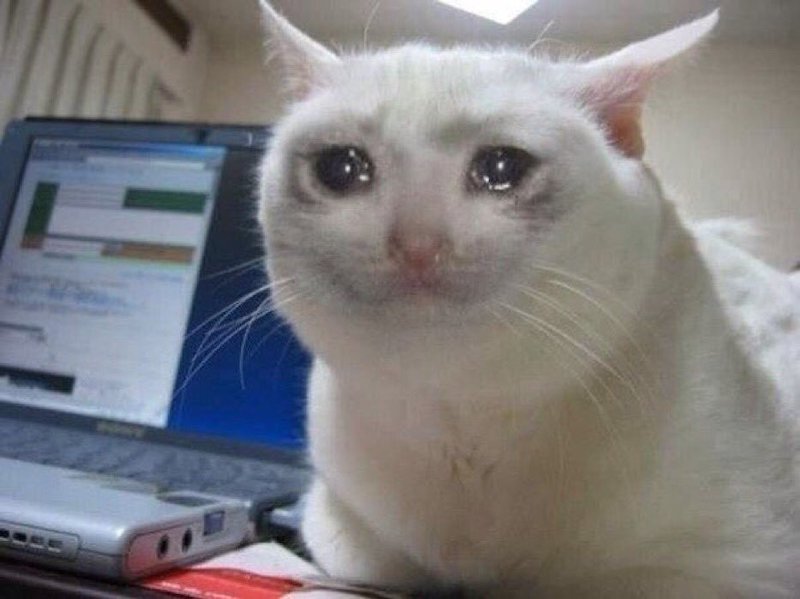 Schmuserkadser, the crying cat, weeping and enduring